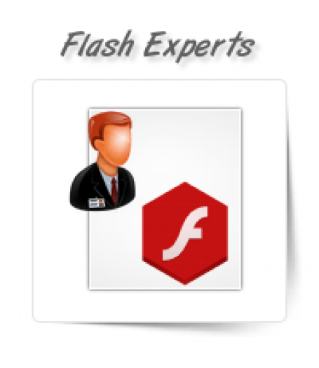 Flash Animation Experts